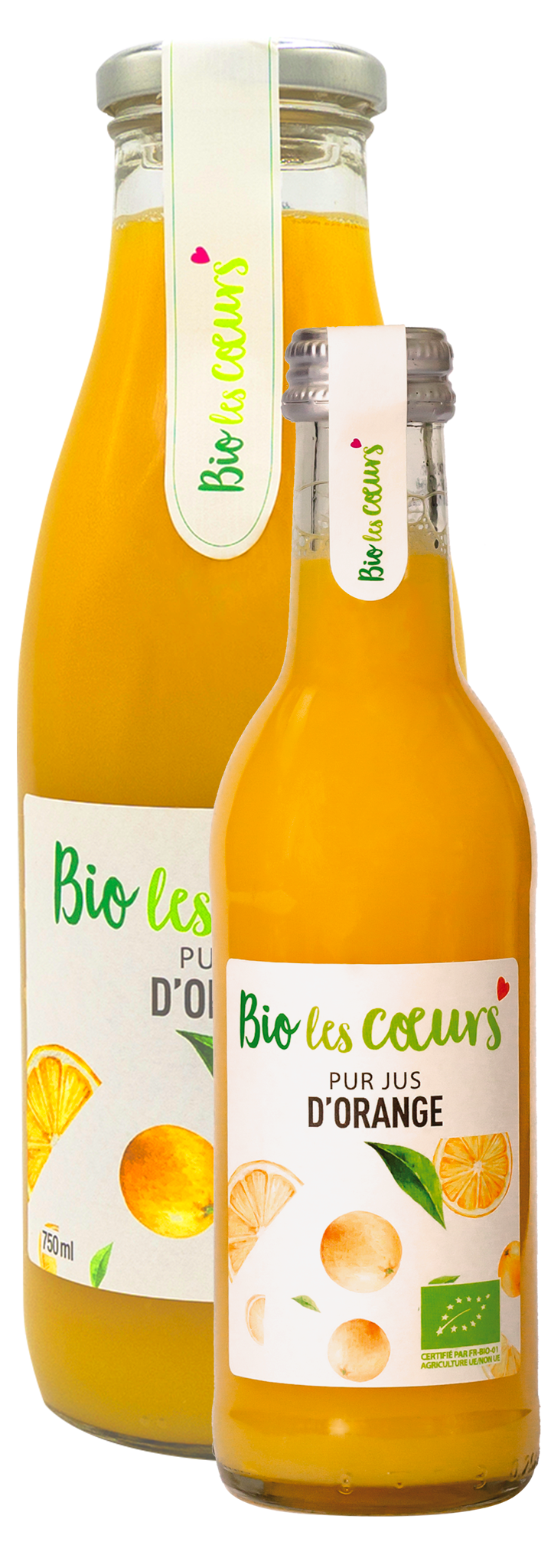 Pur jus cranberry bio - Jus de fruits cranberry bio